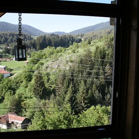 Guest house Kamenik 3*