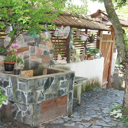 Kamenik Pensionat Jagodina